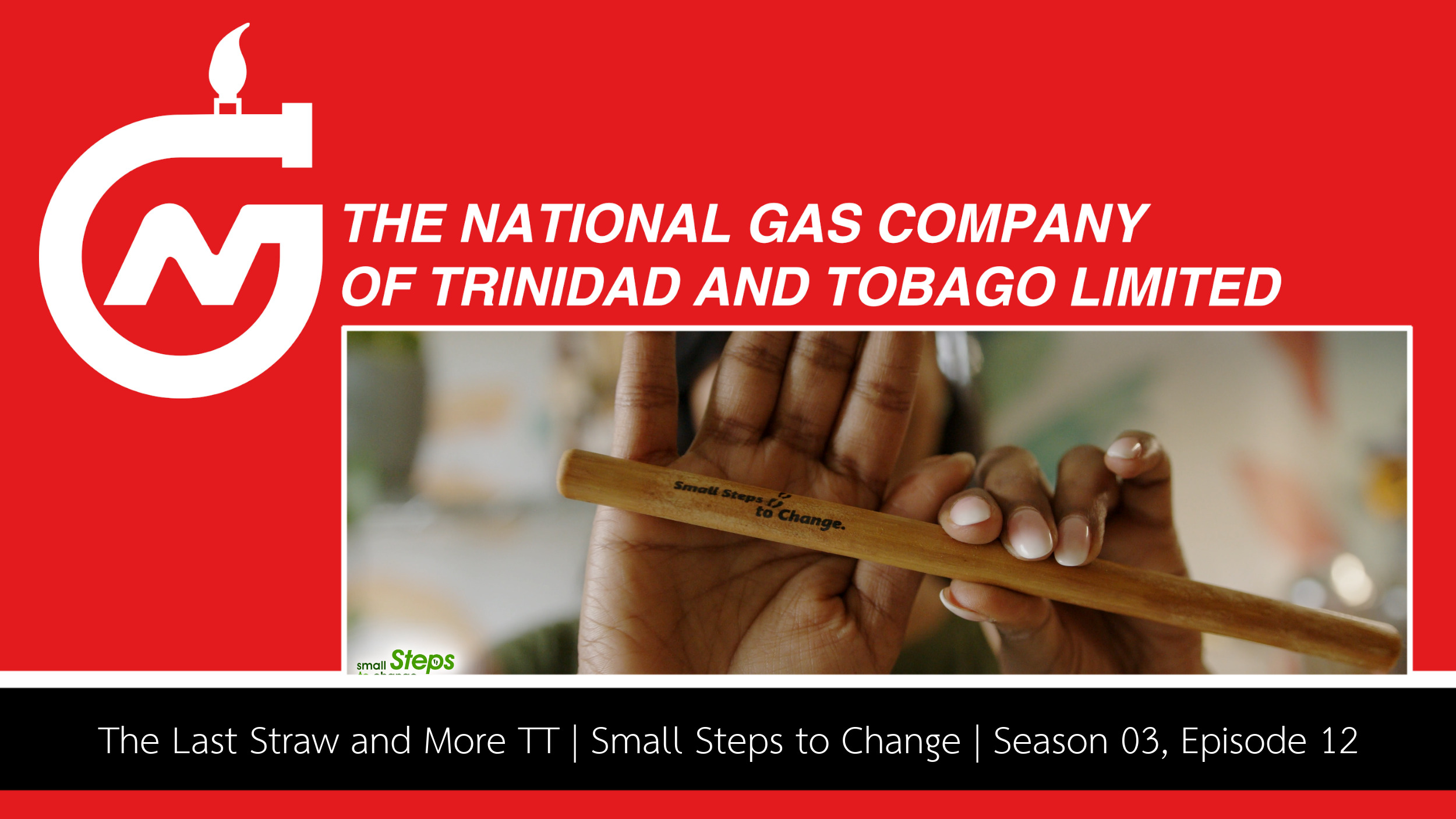 NGC | A hand holding a wooden straw is shown against a blurred background with the text "Small Steps to Change," reminiscent of a TV Series tagline. The National Gas Company of Trinidad and Tobago Limited logo is present.