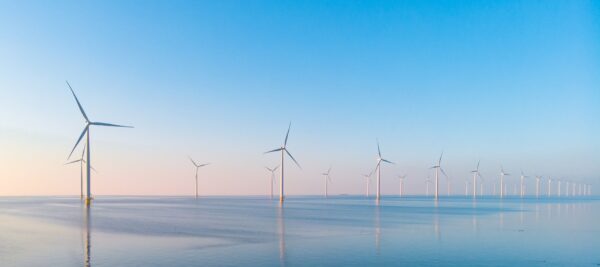 NGC | A row of wind turbines stands in calm sea water under a clear blue sky.